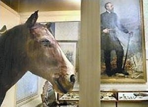 Old Baldy in the GAR Museum & Library in Philadelphia